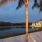 hammocks hanging on palm trees and a dock on a lake