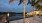 hammocks hanging on palm trees and a dock on a lake