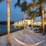 hammocks hanging on palm trees